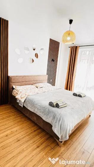 Apartament cu 2 camere de inchiriat in zona Baicului - 2