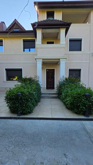 Casă individuală cu 9 camere cu Piscina în Iancu Nicolae
