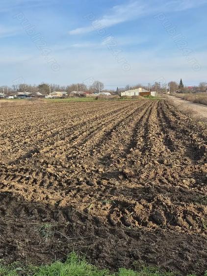 Teren de 3000 mp, în Chiscani