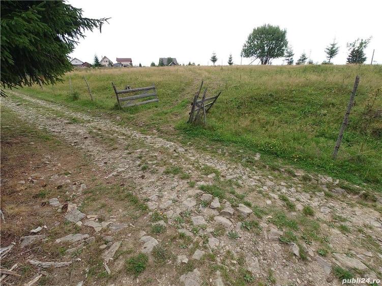 Teren de 7000 mp, în Piatra