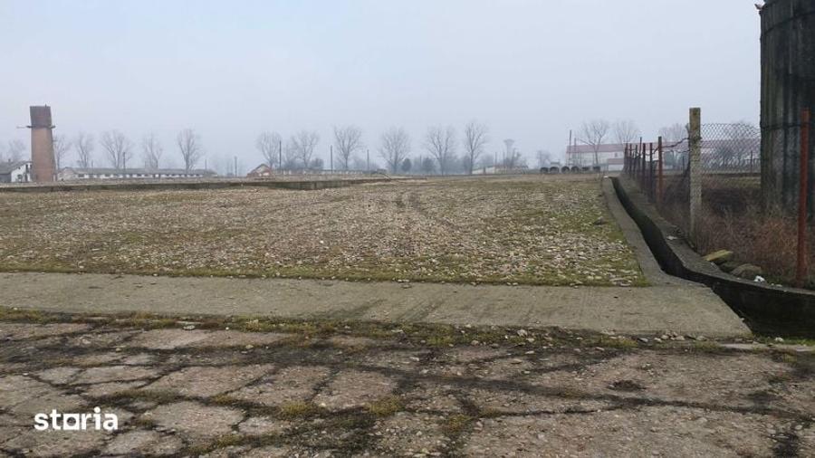Teren de 15000 mp, în Tinca