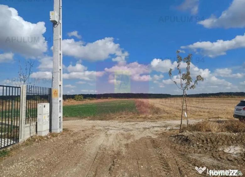 Teren în Gulia