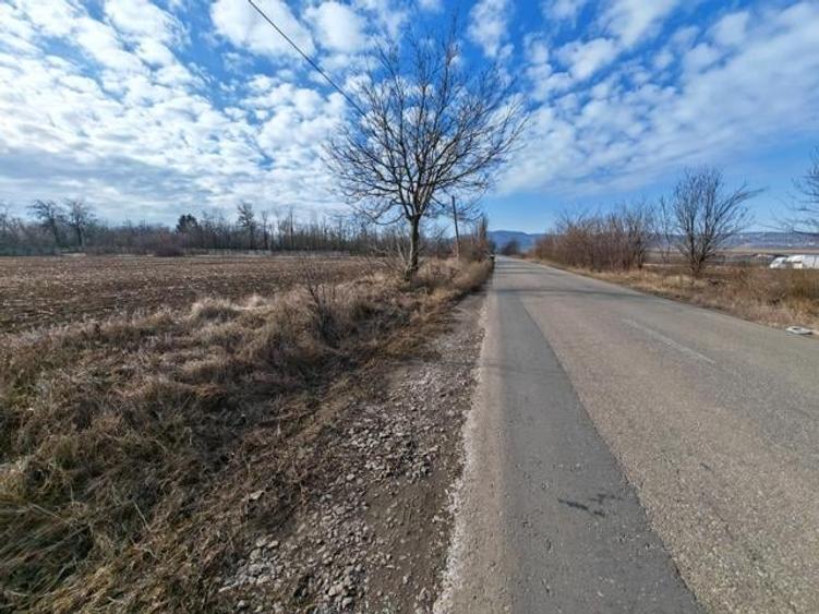 Teren Construcții intravilan de 10000 mp, în Vest