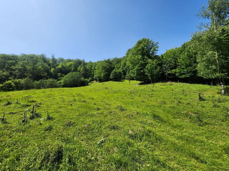 Teren Construcții intravilan de 4800 mp, în Gura Siriului