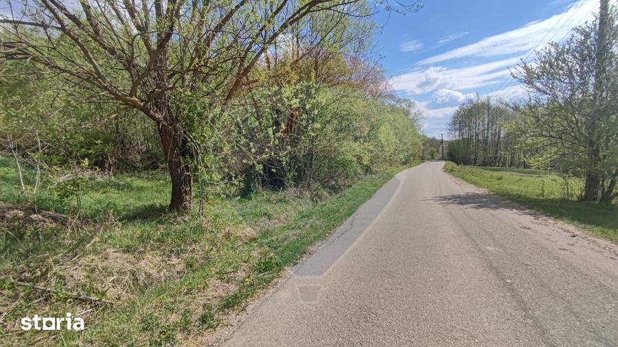 Teren de 1700 mp, în Borod