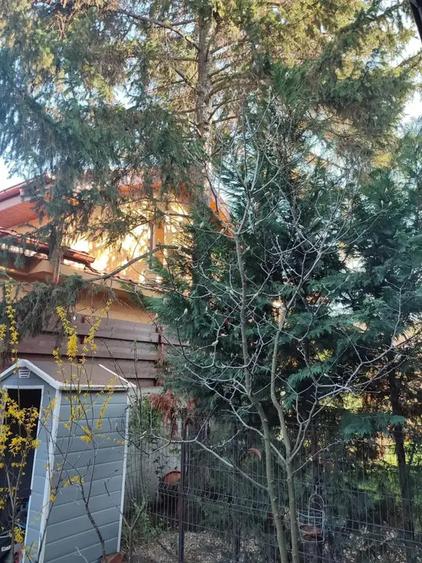 Apartament cu 4 camere decomandat, mobilat în Nord