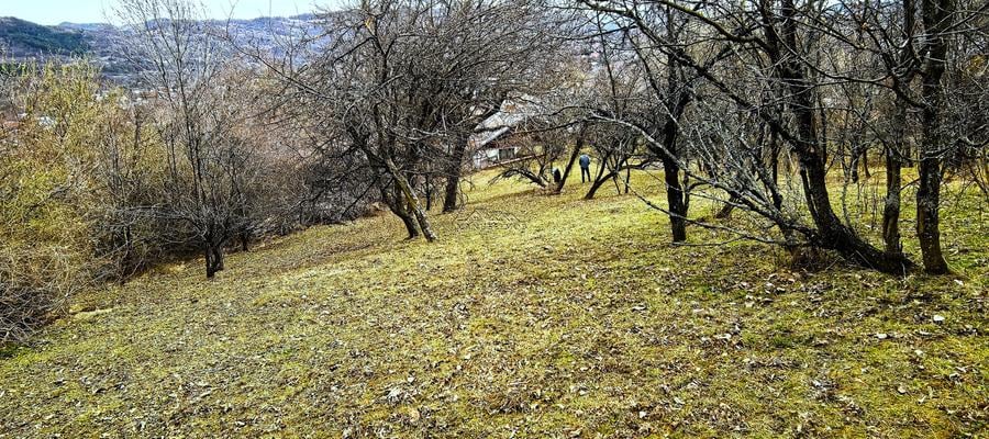 Teren agricol intravilan de 2623 mp, în Est