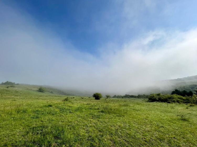 Donath Park: 2 camere modern, gradina, parcare, pet friendly - 5