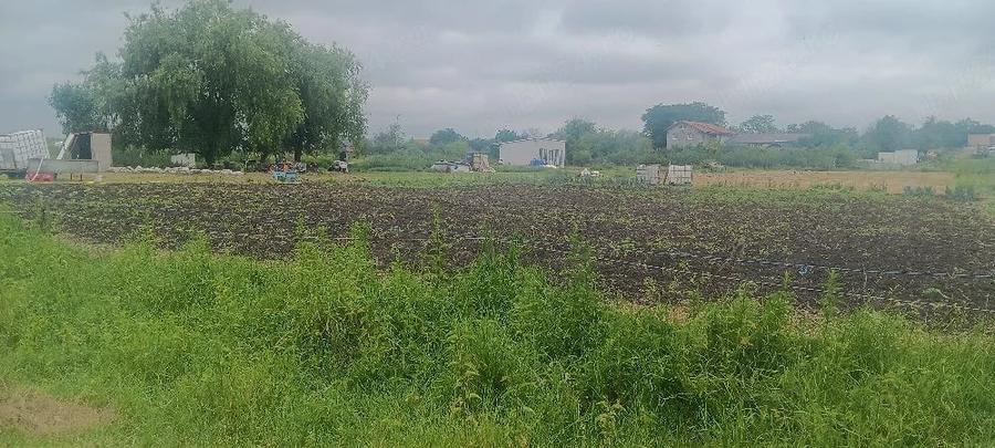 Teren de 4200 mp, în Ianova