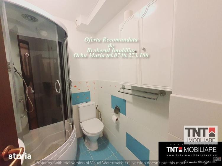 Apartament 2 camere de inchiriat zona NICOLINA-Prima Statie - 11