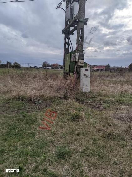 Ferma Zootehnica Satchinez,9,5,vanzare sau schimb - 8