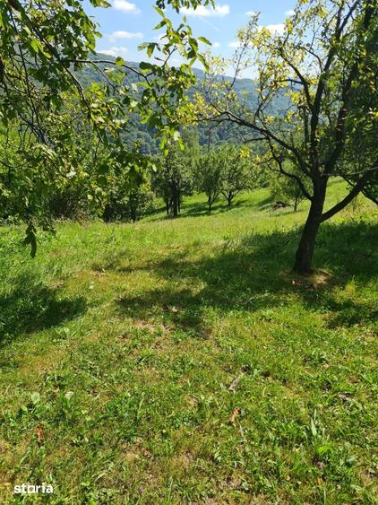 Teren de 10000 mp, în Șotrile