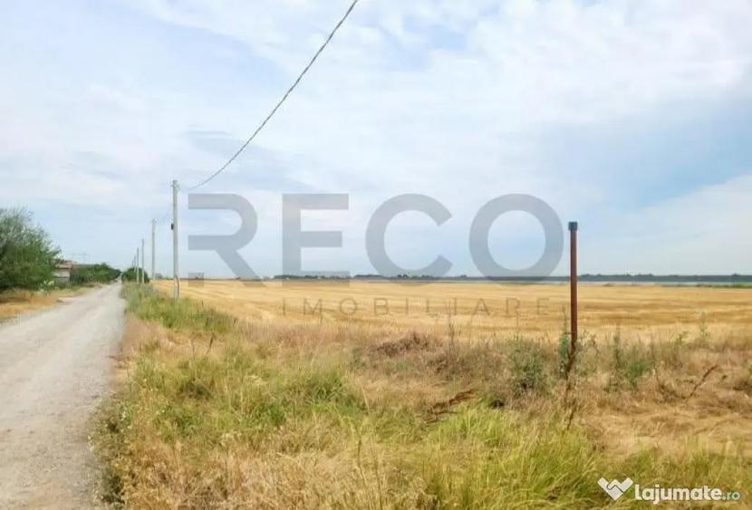 RECO, teren intravilan, Zona Sinteu, Bihor - 1