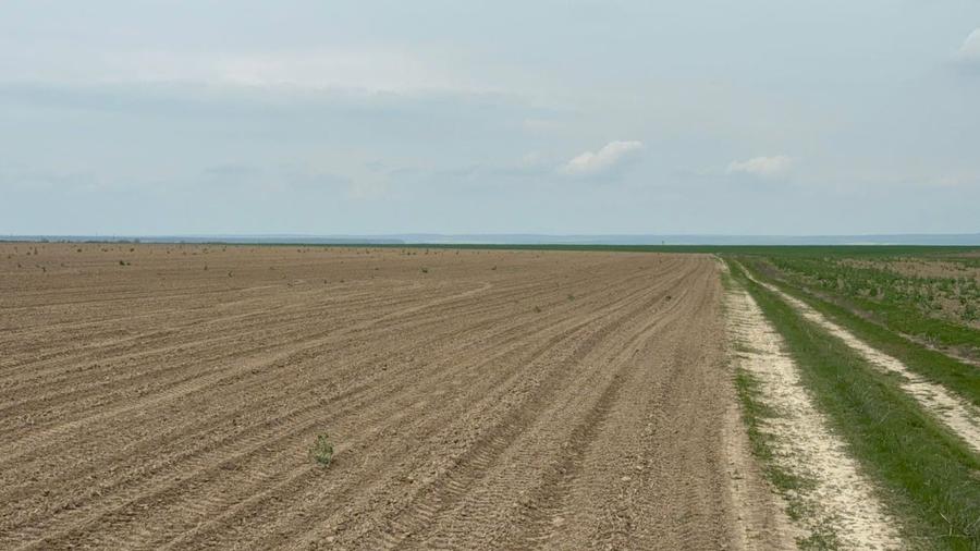Teren agricol extravilan de 100000 mp, în Central