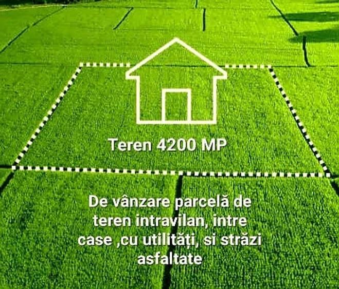 Teren de 4000 mp, în Albina