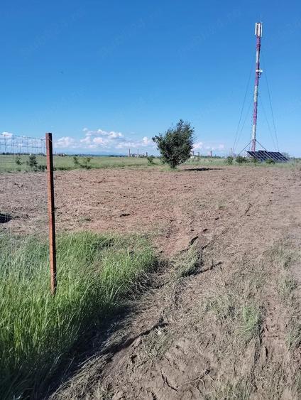 Teren de 303 mp, în Bradu