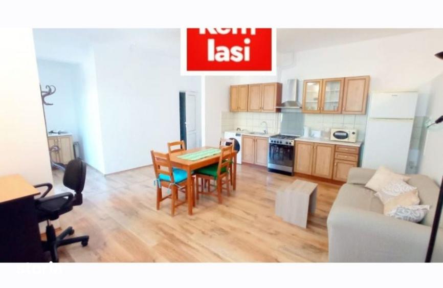 Copou Stadion Pentru 1 Persoana Apartament Mobilat De Inchiriat 01.09. - 6
