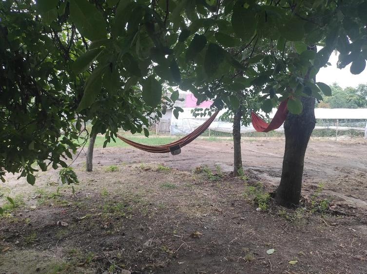 Casă cu Teren 1400 Mp în Coșoteni