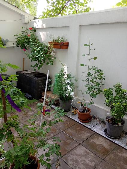 Apartament cu 3 camere în Petrești