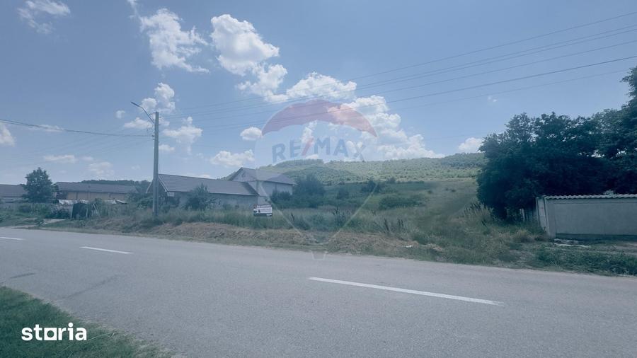 Teren de 3700 mp, în Coțofenii din Dos