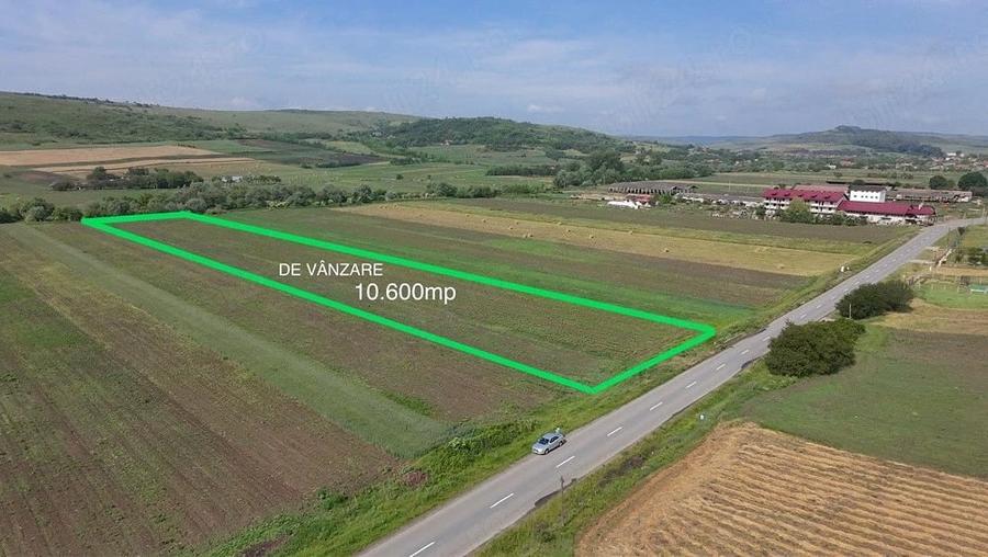 Teren de 10600 mp, în Borșa