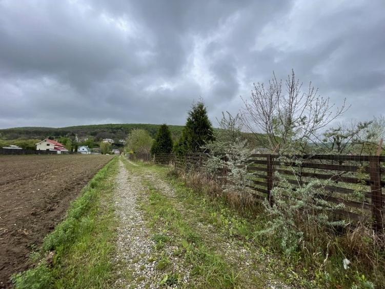 Teren Construcții intravilan de 567 mp, în Hemeiuș