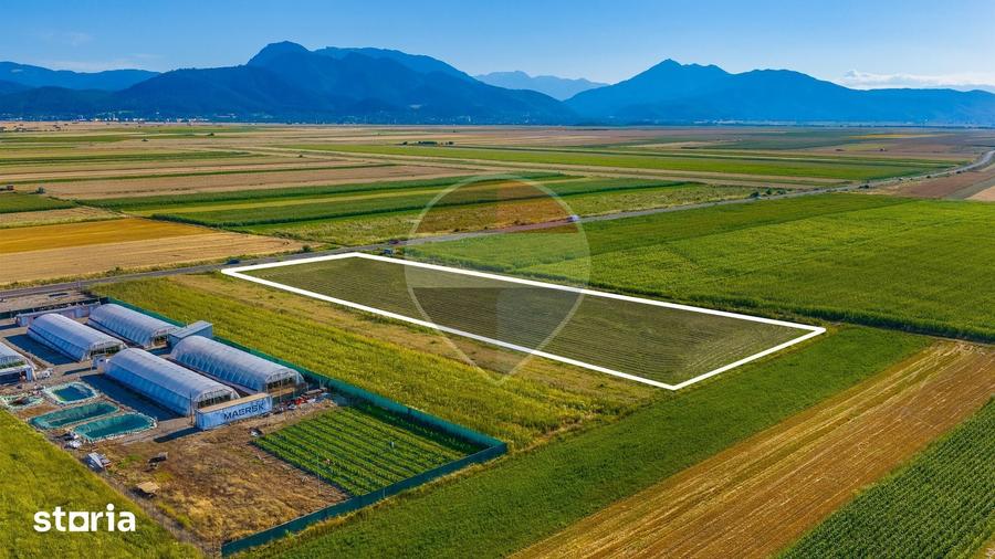 Teren de 7500 mp, în Tărlungeni