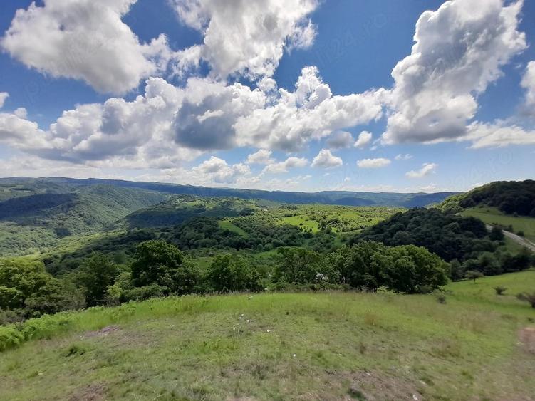 Teren de 4000 mp, în Berchez