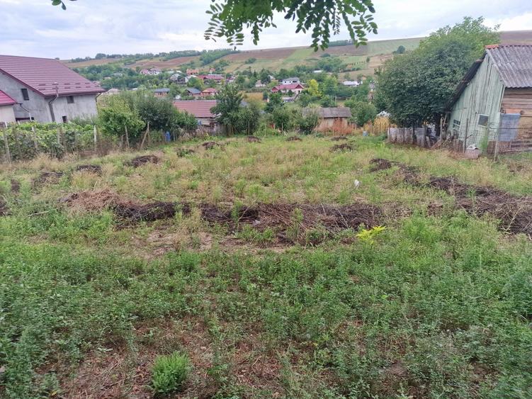 Teren de 900 mp, în Vânători