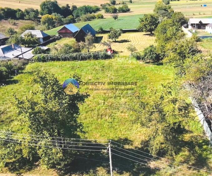 Teren intravilan de 3260 mp, în Chintinici