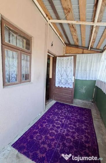 Casă cu 3 camere cu Teren 1667 Mp în Teiu