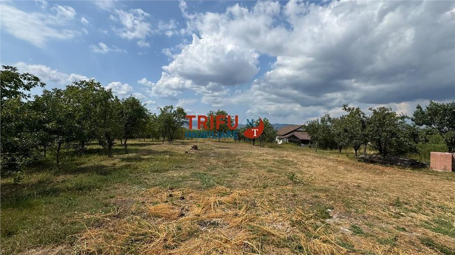 Teren Construcții intravilan de 10651 mp, în Ampoi 1