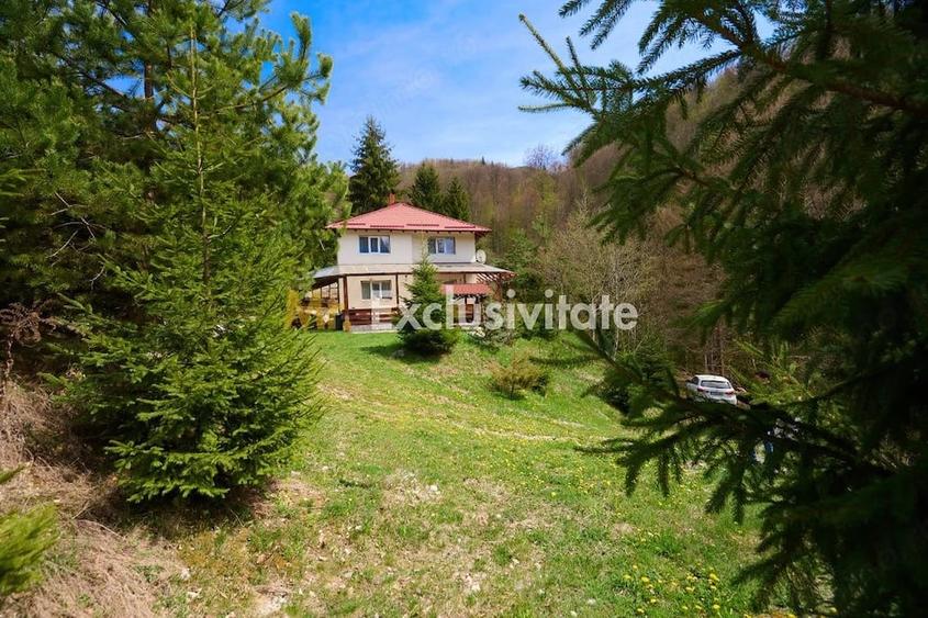 Casă cu 5 camere cu Teren 6412 Mp în Dâmbovicioara