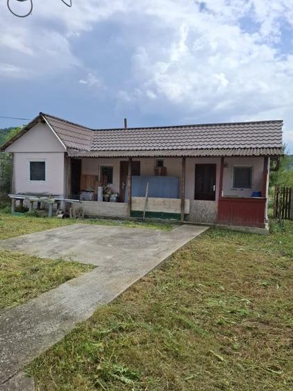 Casă cu 3 camere cu Teren 2370 Mp în Mihăești