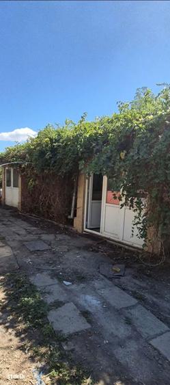 Casă cu 3 camere cu Teren 1554 Mp în Vădeni