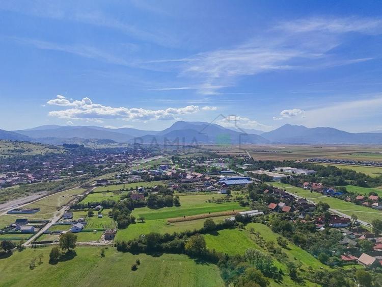 Teren Construcții intravilan de 1430 mp, în Cărpiniș