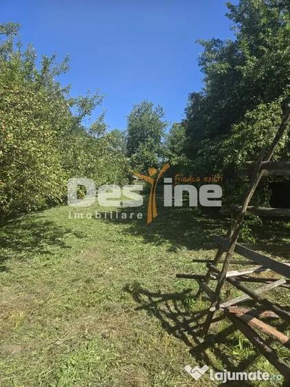 Casă cu 3 camere cu Teren 2614 Mp în Trăisteni
