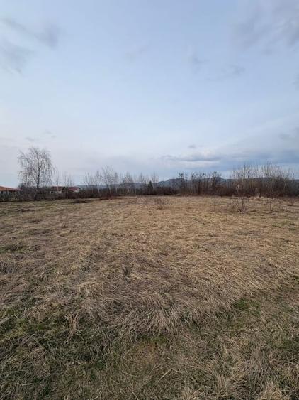 Teren agricol intravilan de 10000 mp, în Merișor