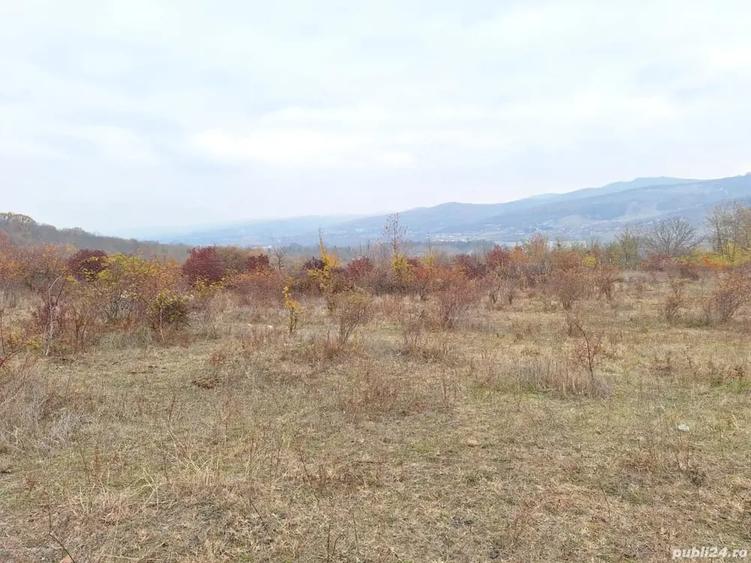 Teren de 8000 mp, în Jercălăi