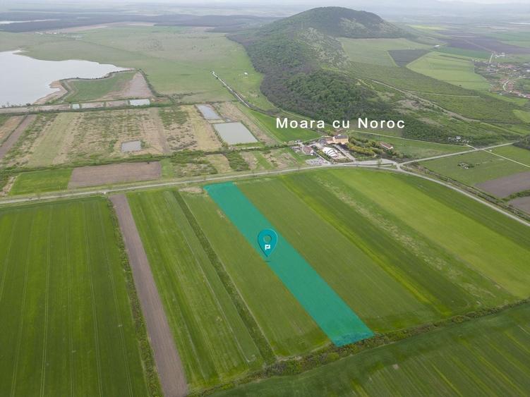 Teren agricol extravilan de 22500 mp, în Sud-Vest