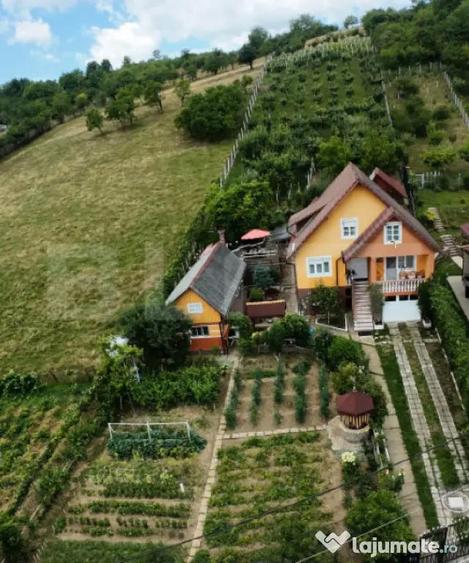 Casă cu 3 camere cu Teren 1800 Mp în Centura