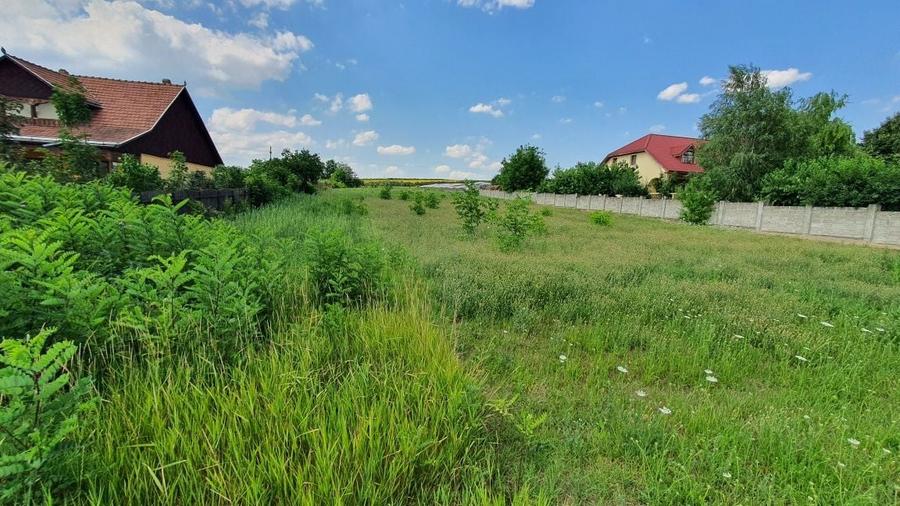 Teren de 1000 mp, în Războieni