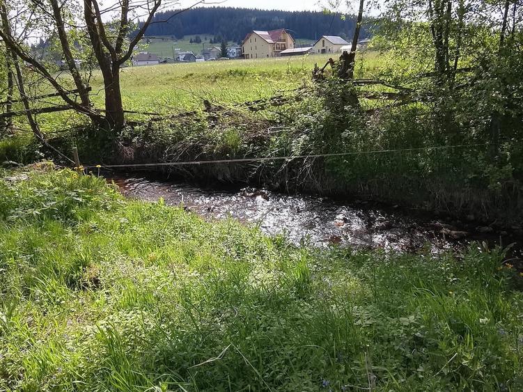 Teren de 5000 mp, în Dorna-Arini