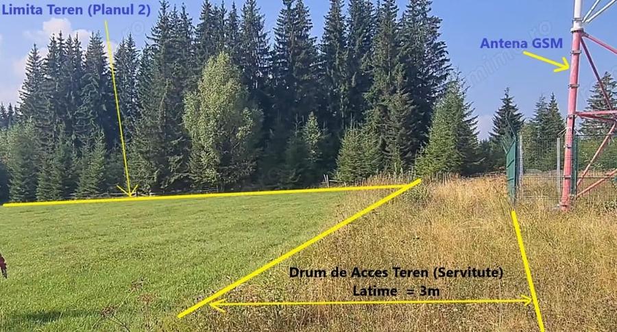 Teren de 6450 mp, în Neagra