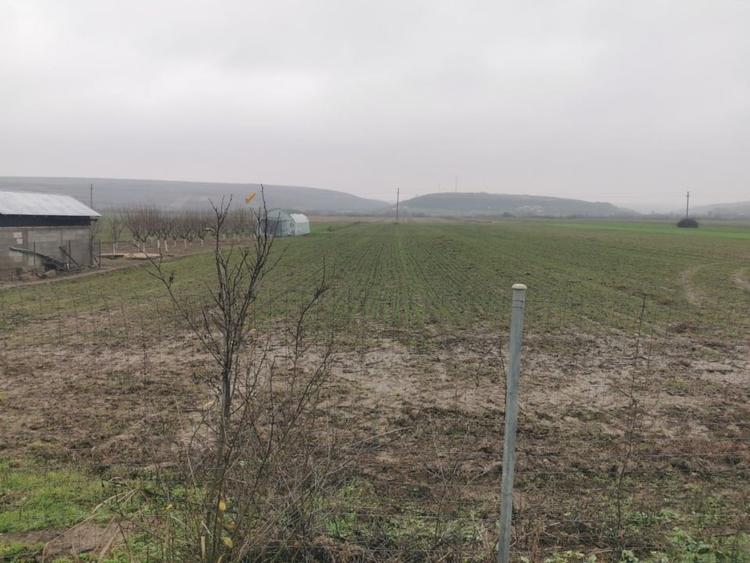 Casă individuală cu 4 camere cu Teren 7000 Mp în Argetoaia
