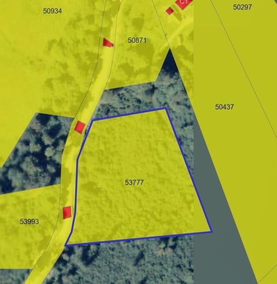 Teren extravilan in comuna Suncuius 9500m2 - 6