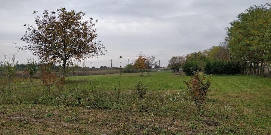 Teren de 5000 mp, în Poienarii Apostoli