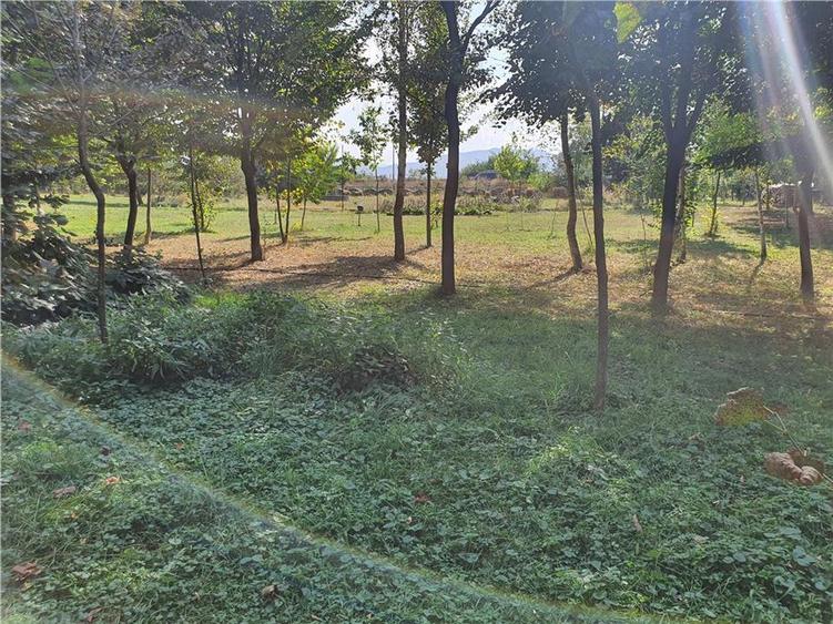 Teren agricol intravilan de 900 mp, în Săcel
