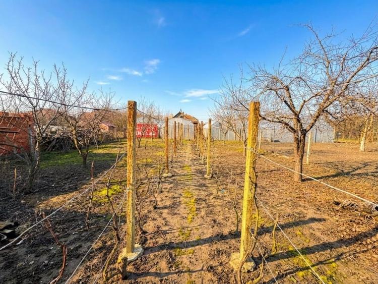 Casă individuală cu 3 camere cu Canalizare în Ciacova