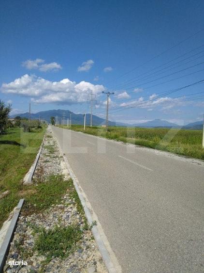 Teren extravilan, Livezile, 1.83 hectare - 3